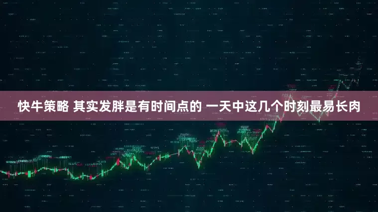 快牛策略 其实发胖是有时间点的 一天中这几个时刻最易长肉